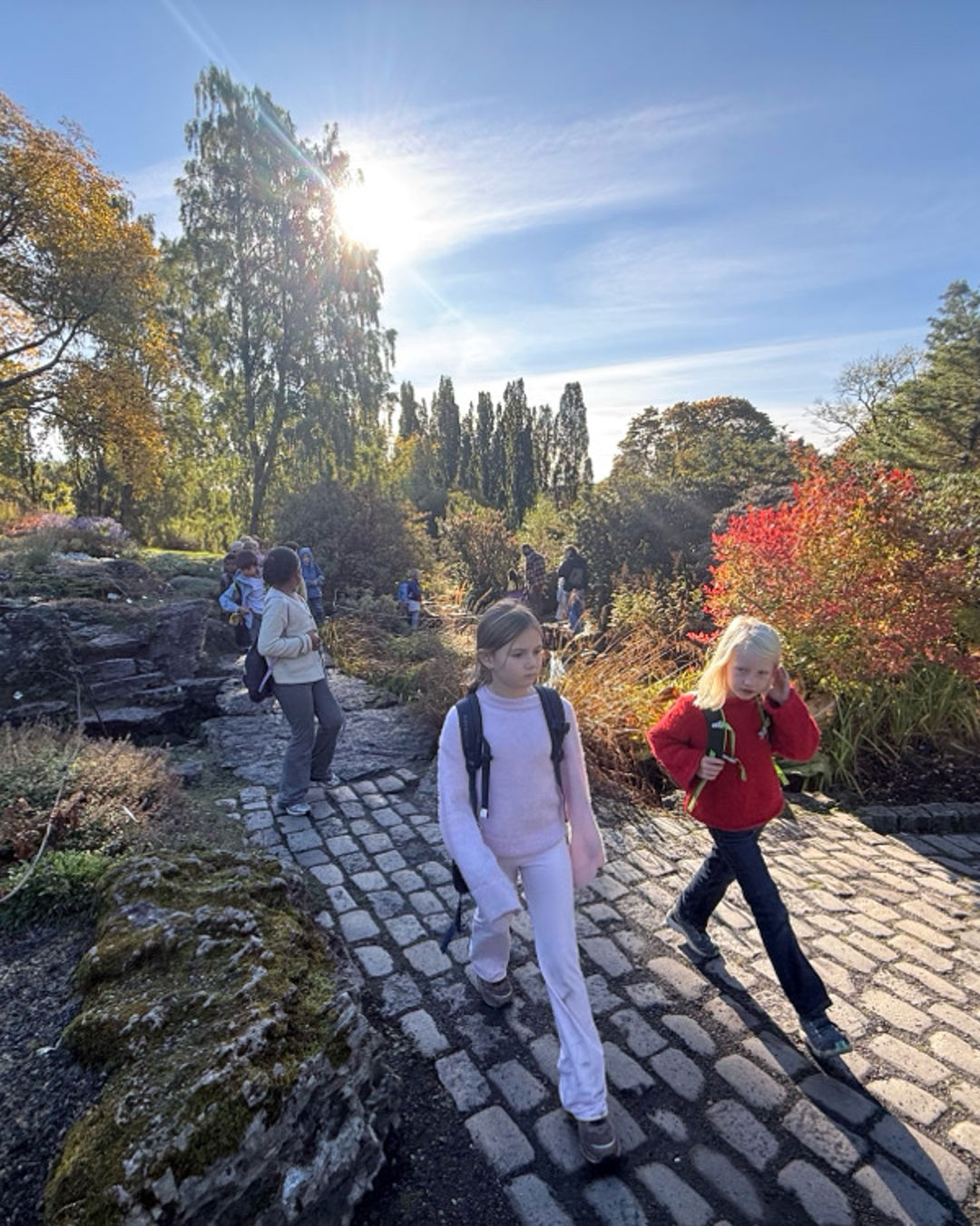 En gruppe mennesker som går på en steinsti i en park