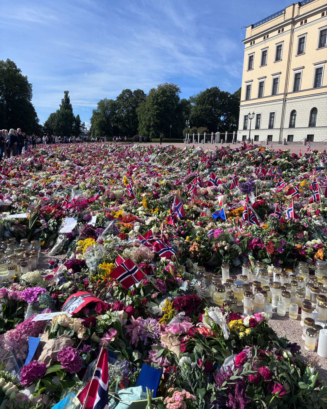 Foto: Merete Hansen en stor gruppe blomster