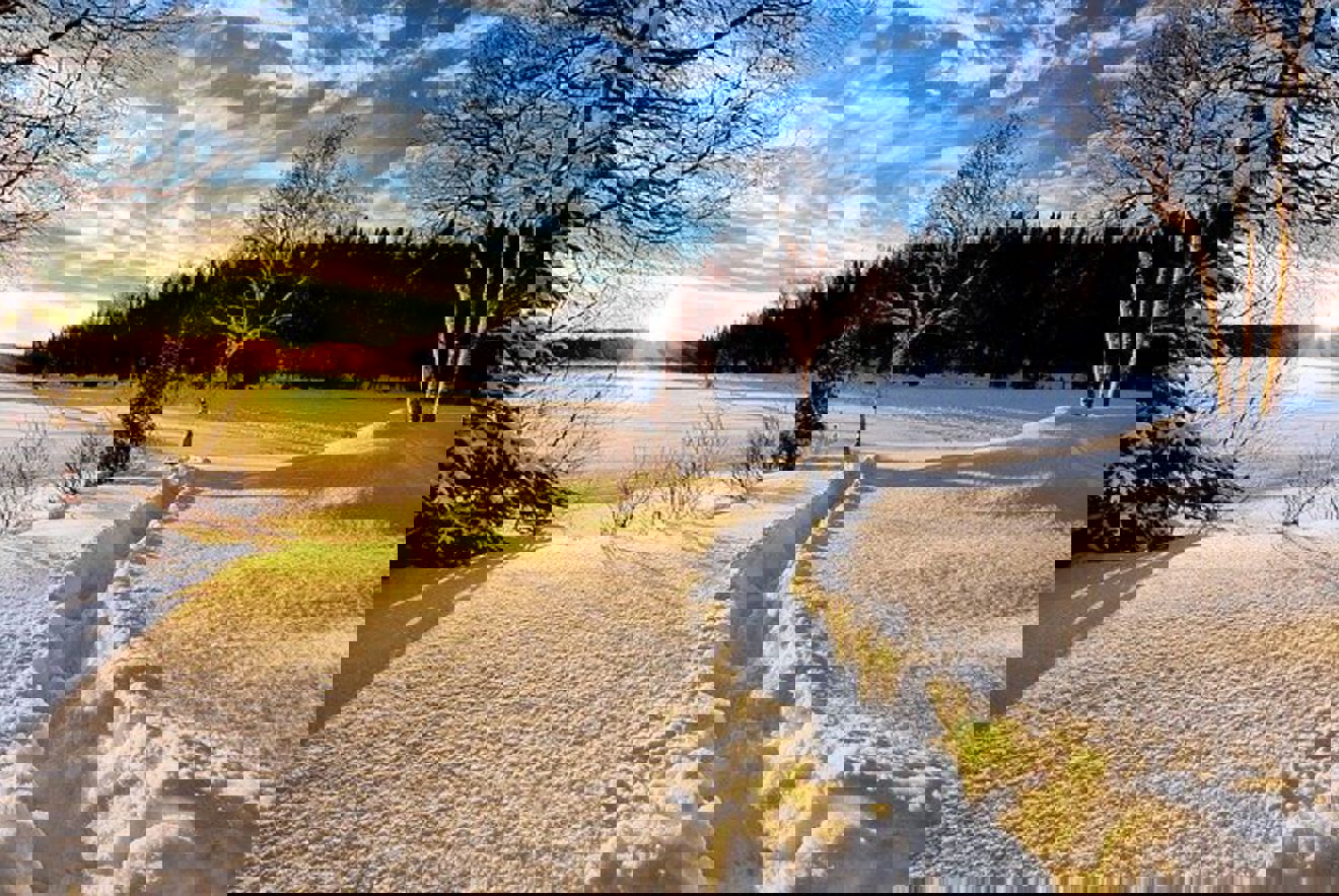 Vinterlandskap Vinterlandskap