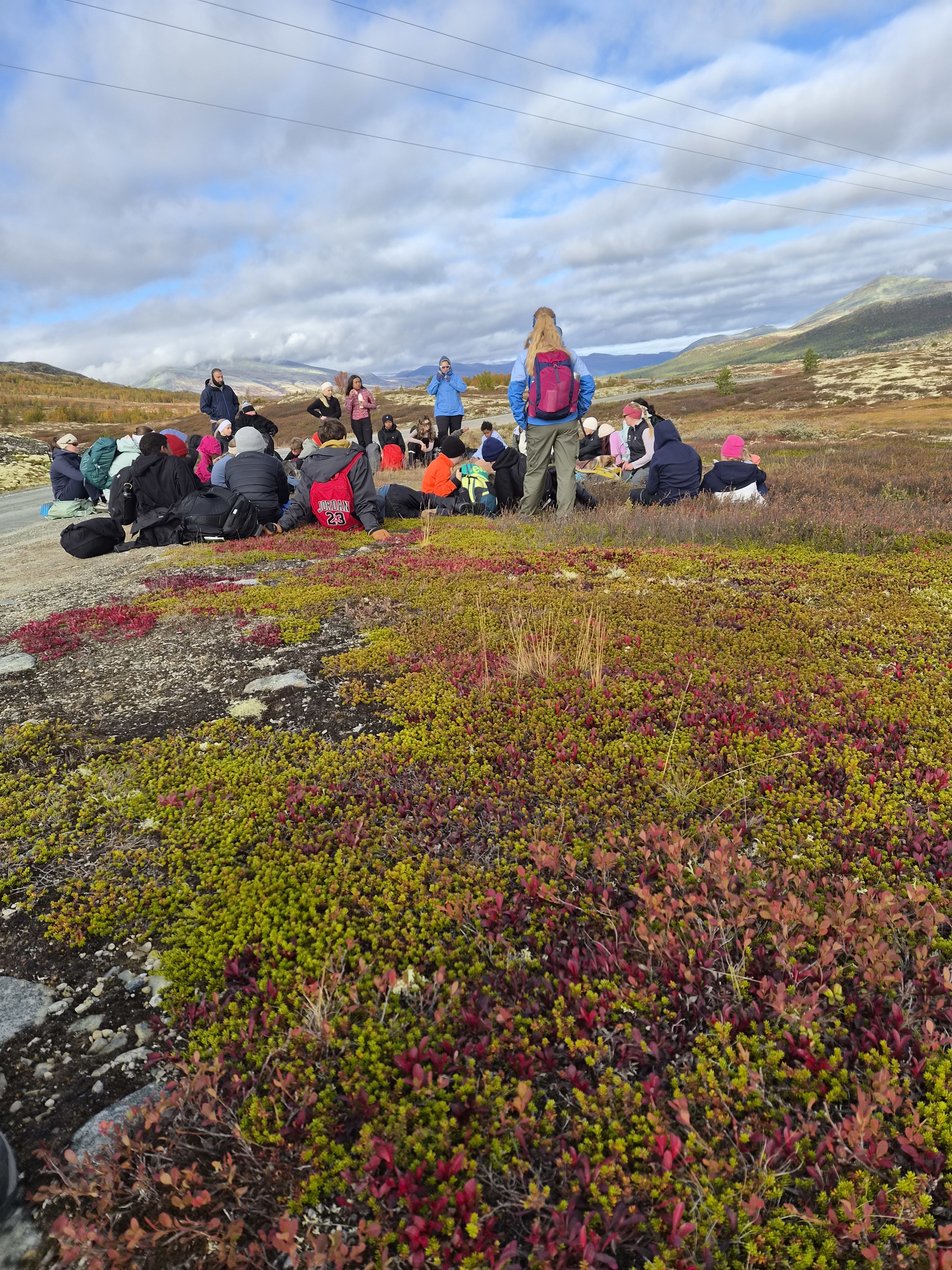 En gruppe mennesker som står på en høyde med røde blomster