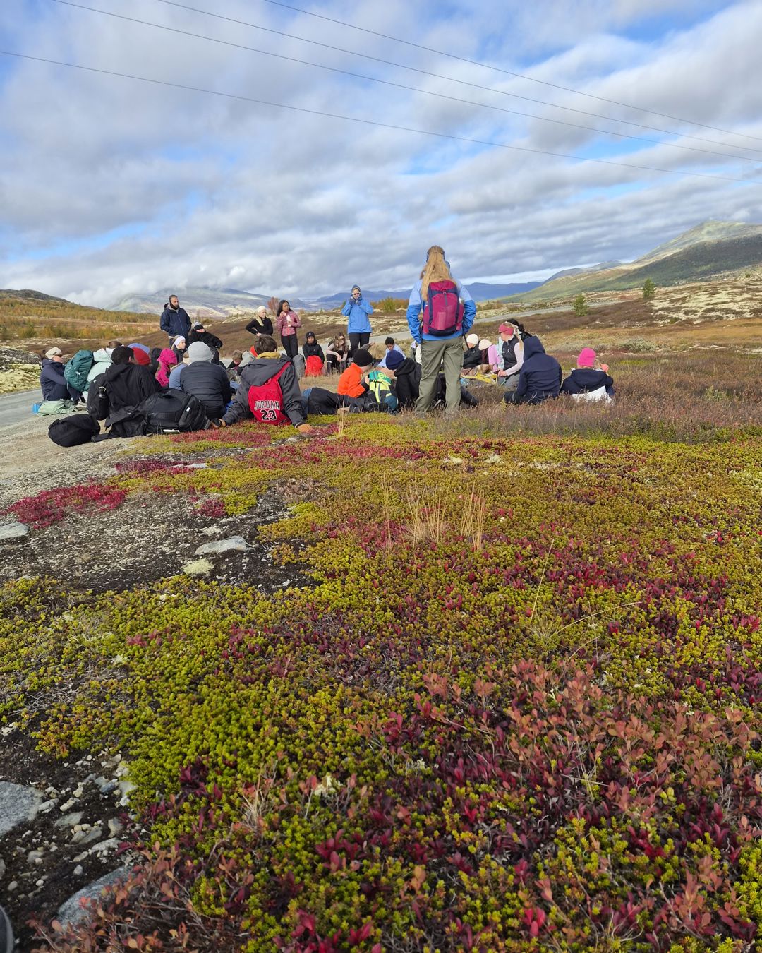 En gruppe mennesker som står på en høyde med røde blomster En gruppe mennesker som står på en høyde med røde blomster