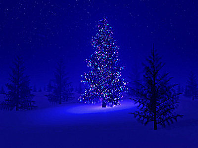 bilde julegran bilde julegran