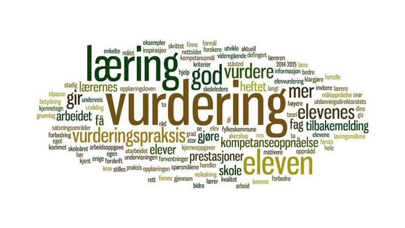 ordsky vurdering