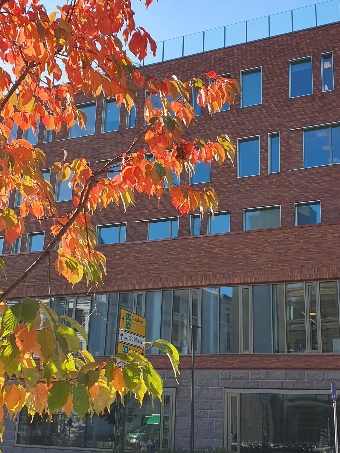 en bygning med et tre foran seg en bygning med et tre foran seg